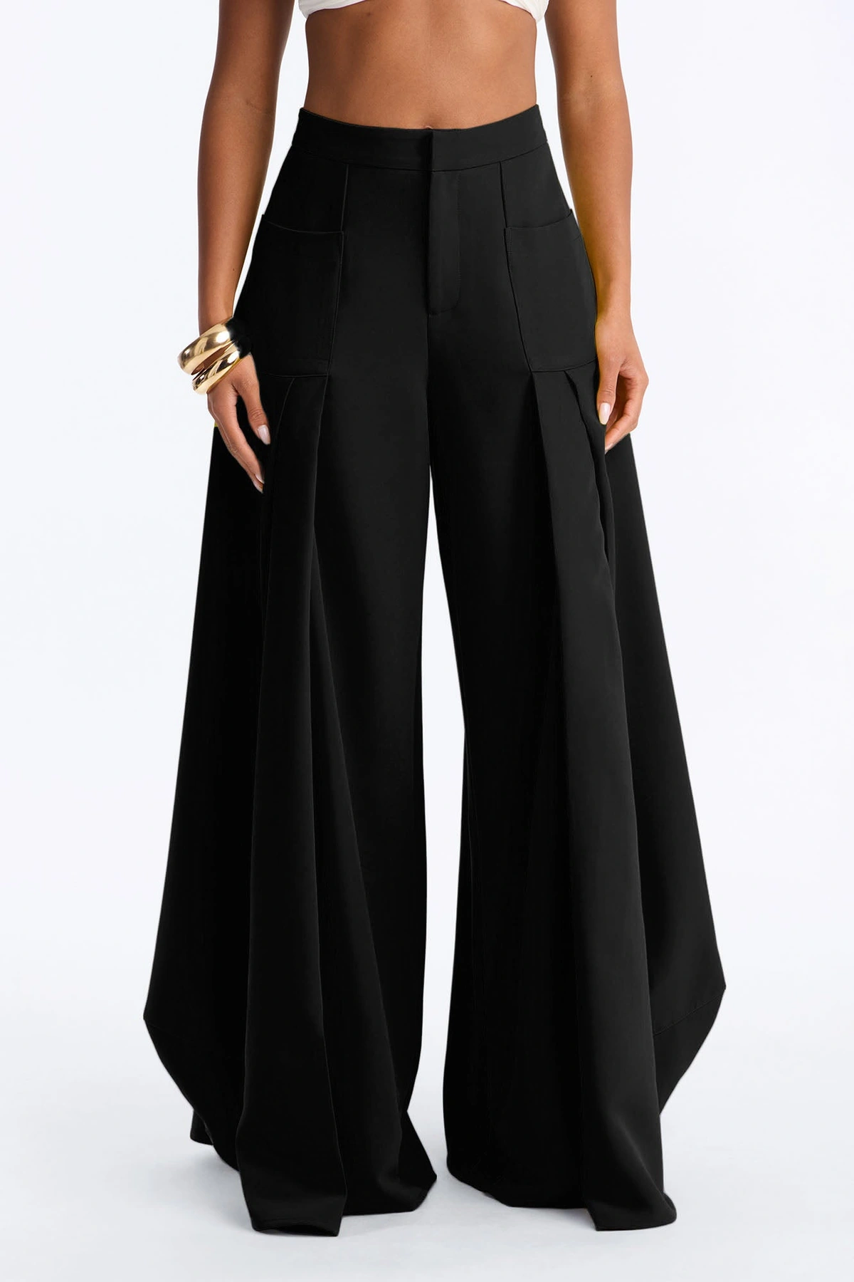 Stand Out Super Wide Pleated Trouser - Black — Preto